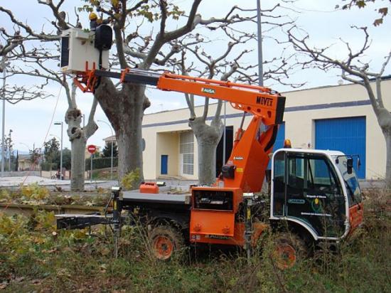MULTITASK 250 M con gra Movex