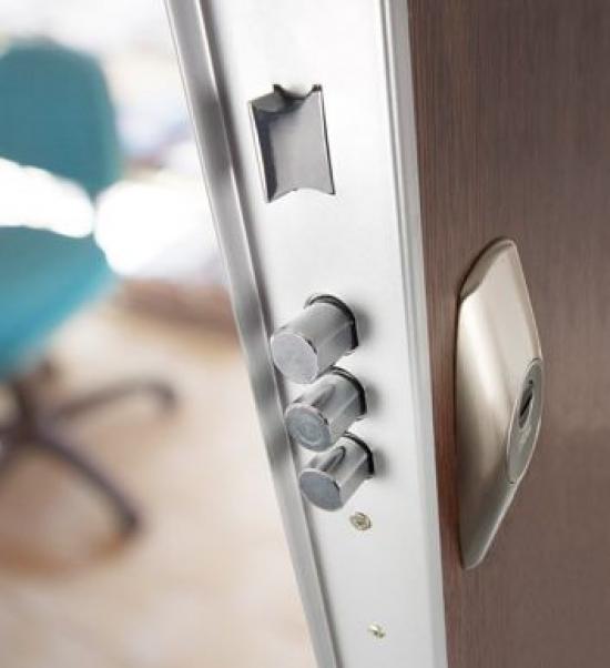 Puerta Securitesa Premium (TESA)