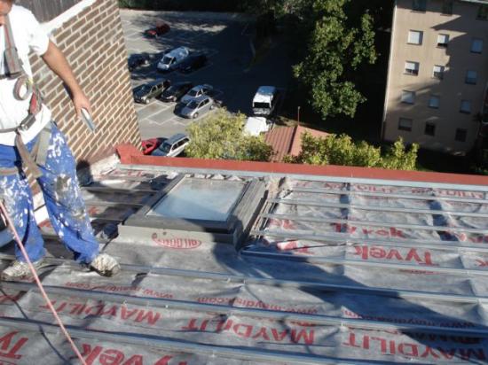 Dupont Tyvek Maydilit de Maydisa